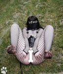 Pwupster - Pup's Backyard Adventure [Photoset]