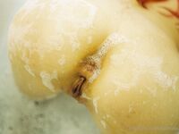 Onlyfans Cannabunni3