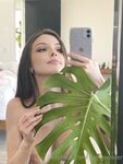 Dainty Wilder sets compilation