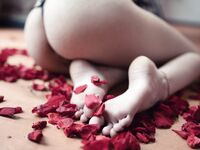 Zayuri - Valentine's Day Set