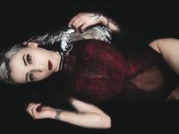 Zayuri - Fitness / Bathroom Shooting Set