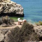 Boxofshapes / noasanayogagirl