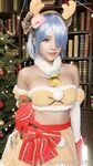MINICHU -RAINDEER REM
