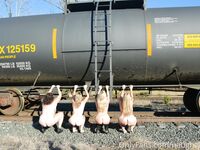 Naughtynevaeh - OF - 7