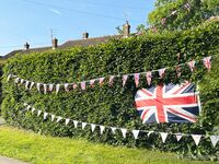 Belle - Please Swing Me