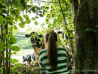 Belle - Lewd Adventure