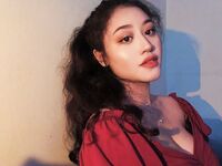 Saintfulsins Collection