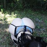 Oatmilk Hunny Onlyfans Album