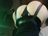 LavenderThief - A Full Collection