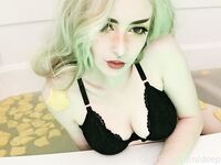 LavenderThief - A Full Collection