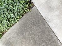 Onlyfans Anna Blossom