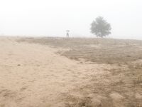 Onlyfans Nicole Aniston