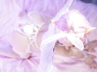 Onlyfans Alice Delish