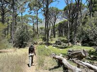 Onlyfans Belle Delphine - Candid Holiday Photos