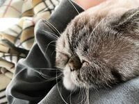 Onlyfans Esther Lainn Updated