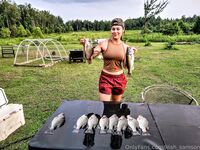 Lilah Sampson - OnlyFans Rip