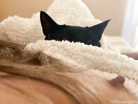 Fit Bryce Adams OF Pic Dump