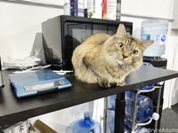 Fit Bryce Adams OF Pic Dump