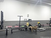 Fit Bryce Adams OF Pic Dump