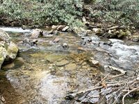 Fit Bryce Adams OF Pic Dump