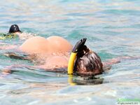 Katya Clover - Nude Snorkeling