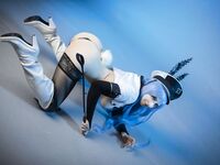 [Mikomi Hokina] Esdeath Reverse Bunny (Akame ga Kill!)