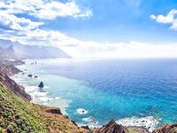 Kitten Sophie / KiraBee Onlyfans 1