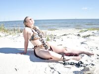 Savannah Solo Onlyfans 2