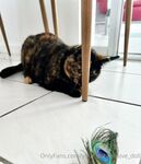 Your Submissive Doll Onlyfans 1