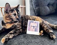 Your Submissive Doll Onlyfans 1