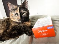 Your Submissive Doll Onlyfans 1