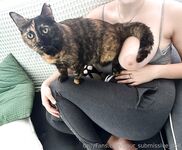 Your Submissive Doll Onlyfans 1