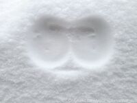 Your Submissive Doll Onlyfans 2