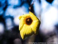 Your Submissive Doll Onlyfans 2