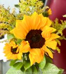 Your Submissive Doll Onlyfans 2