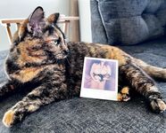 Your Submissive Doll Onlyfans 2