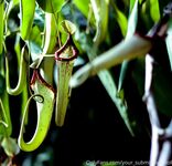 Your Submissive Doll Onlyfans 2