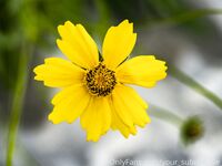 Your Submissive Doll Onlyfans 2