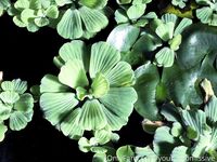 Your Submissive Doll Onlyfans 2