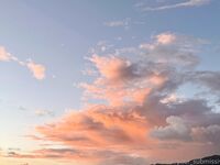 Your Submissive Doll Onlyfans 2