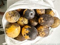 Your Submissive Doll Onlyfans 3