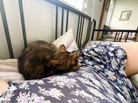 Your Submissive Doll Onlyfans 3