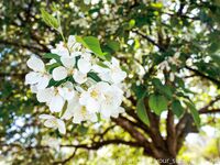 Your Submissive Doll Onlyfans 3