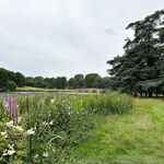 Laurenelizabeth Onlyfans 4