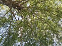 Sabrinanichole Onlyfans