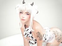 Zackycha A Complete Album