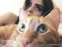 Ashe Maree nude photos