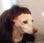 Onlyfans bambiisforest