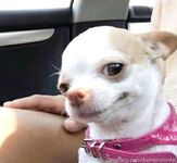 Onlyfans bambiisforest