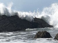 xevbellringer69 - OF dump HQ